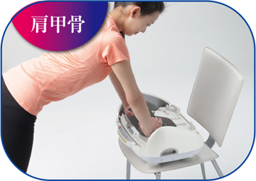 肩甲骨