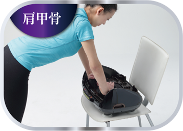 肩甲骨