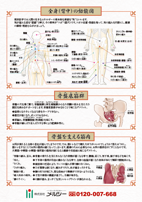 全身効能図  背面