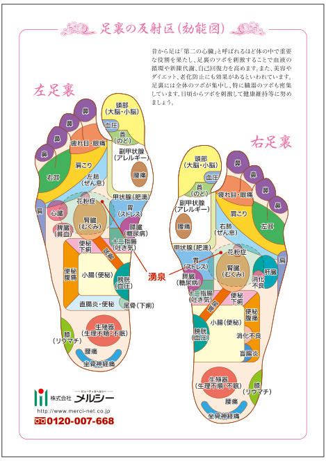 足裏  効能図