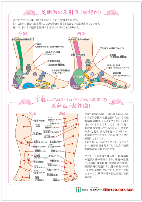 足側面・ふくらはぎ  効能図